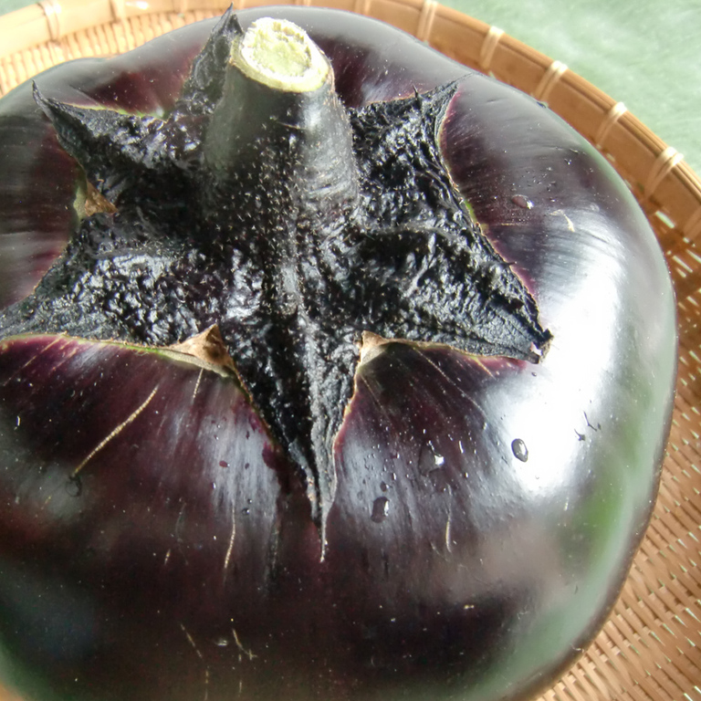 daikoku_eggplant